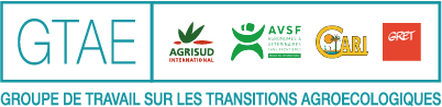 logo du GTAE